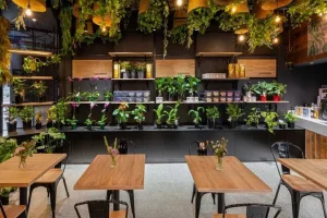 تصویری از طراحی دکوراسیون کافه - a picture of Cafe decoration design