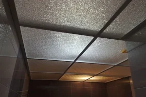 تصویری از سقف کاذب - a picture of False ceiling